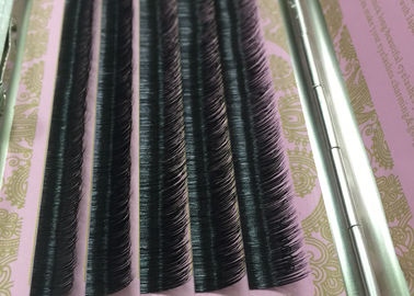 PORCELANA Extensiones de pestañas postizas J B C D Curl Pestañas reales Injerto de extensión de pestañas de visón proveedor