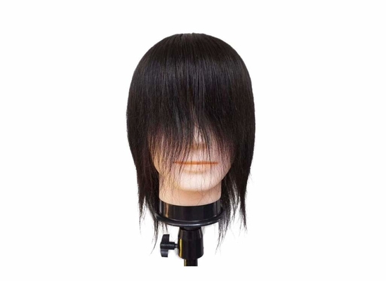 Mannequin Wig Display Product  European Men Mannequin Head For Wig  Male Mannequin Head With Hair Human Hair Manikin proveedor