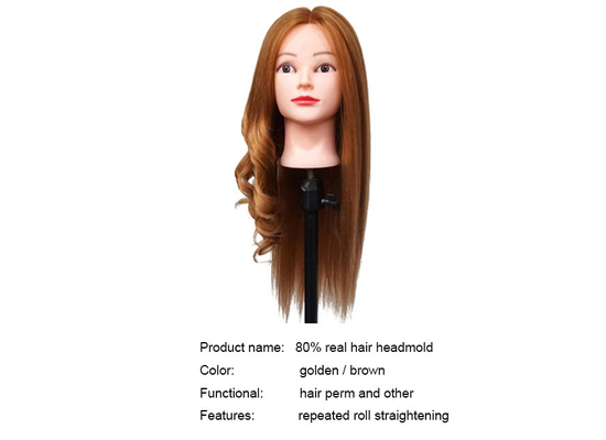 Mujer profesional 100% cabello humano maniquíes cabeza maniquíes cabeza para estudiantes principiantes proveedor