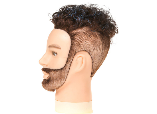 Cabeza de maniquí masculina de reina romántica con cabello, maniquí de cabello humano para hombres, cosmetología, cabeza de maniquí de 8 pulgadas con cabello humano proveedor