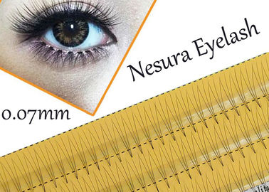 Pro Natural C Curl 0.12mm 8/10/12mm Negro pestañas falsas individuales 3d 4d 5d pestañas de seda proveedor