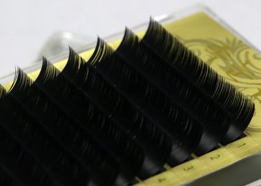 1 estuche tamaño completo JBCD Mink pestañas falsas Black Curl pestañas falsas individuales proveedor