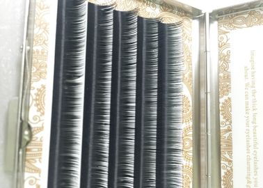 Curva Eterna Auténtica de Siberia Verdadera Extensiones de pestañas, Pelo de visón pestañas proveedor